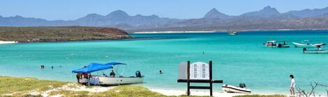 From Dolphins To Fish Tacos: The Best Things To Do In Loreto