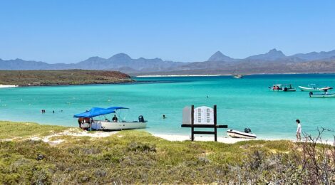 From Dolphins To Fish Tacos: The Best Things To Do In Loreto