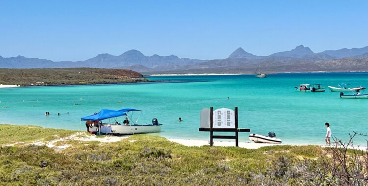From Dolphins To Fish Tacos: The Best Things To Do In Loreto