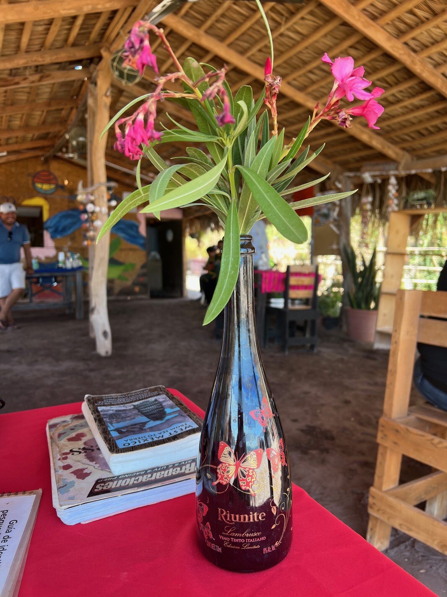 Things to do in Loreto/ Agua Verde