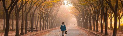 What To Pack For A Walking Tour