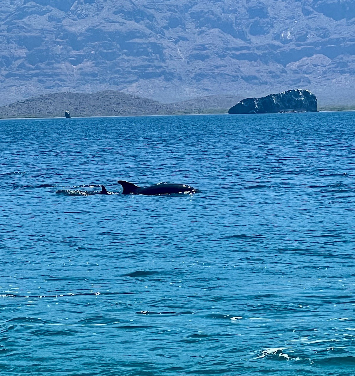 Things to do in Loreto