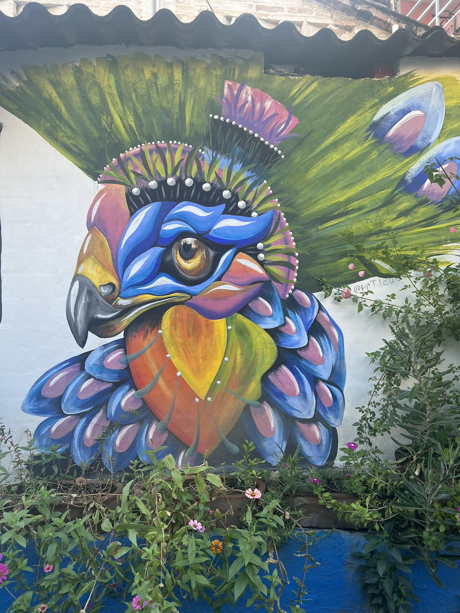 Sayulita street art