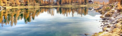 Solo Trekker’s Guide To Remote Destinations And Hidden-Trail Adventures