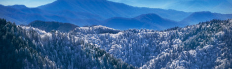 A Complete Family Travel Guide to Exploring Gatlinburg