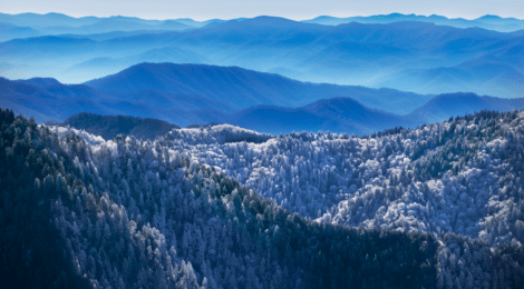 A Complete Family Travel Guide to Exploring Gatlinburg