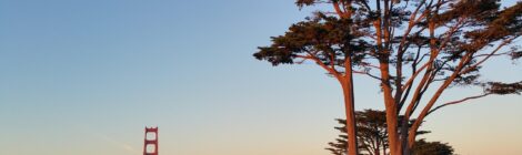 San Francisco by Night: Views, Vibes, and Vintage Bars