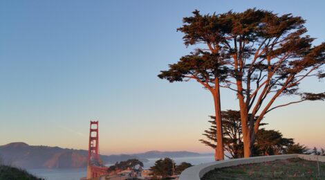 San Francisco by Night: Views, Vibes, and Vintage Bars