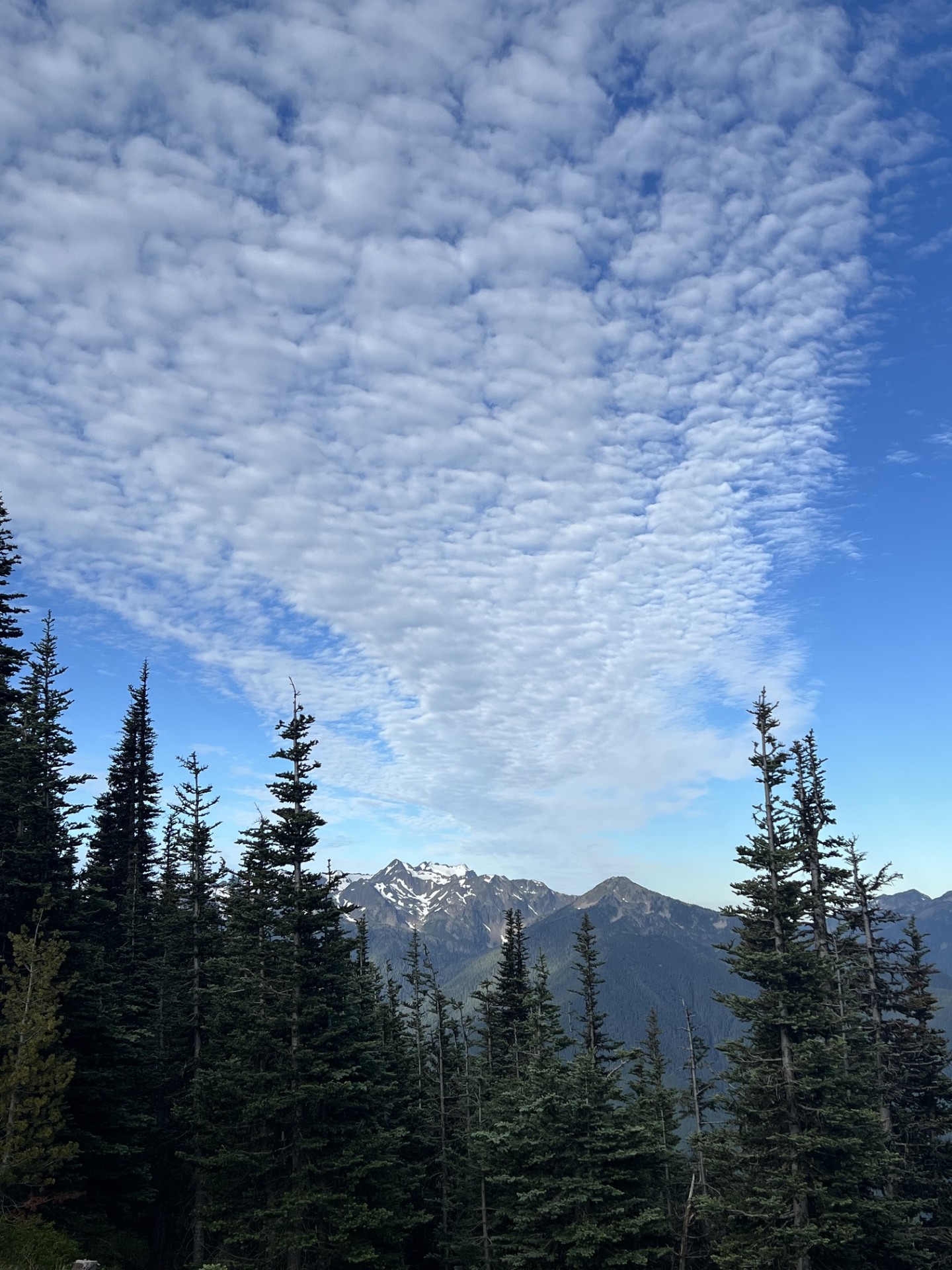The Ultimate Olympic National Park Itinerary: Best Things to See and Do