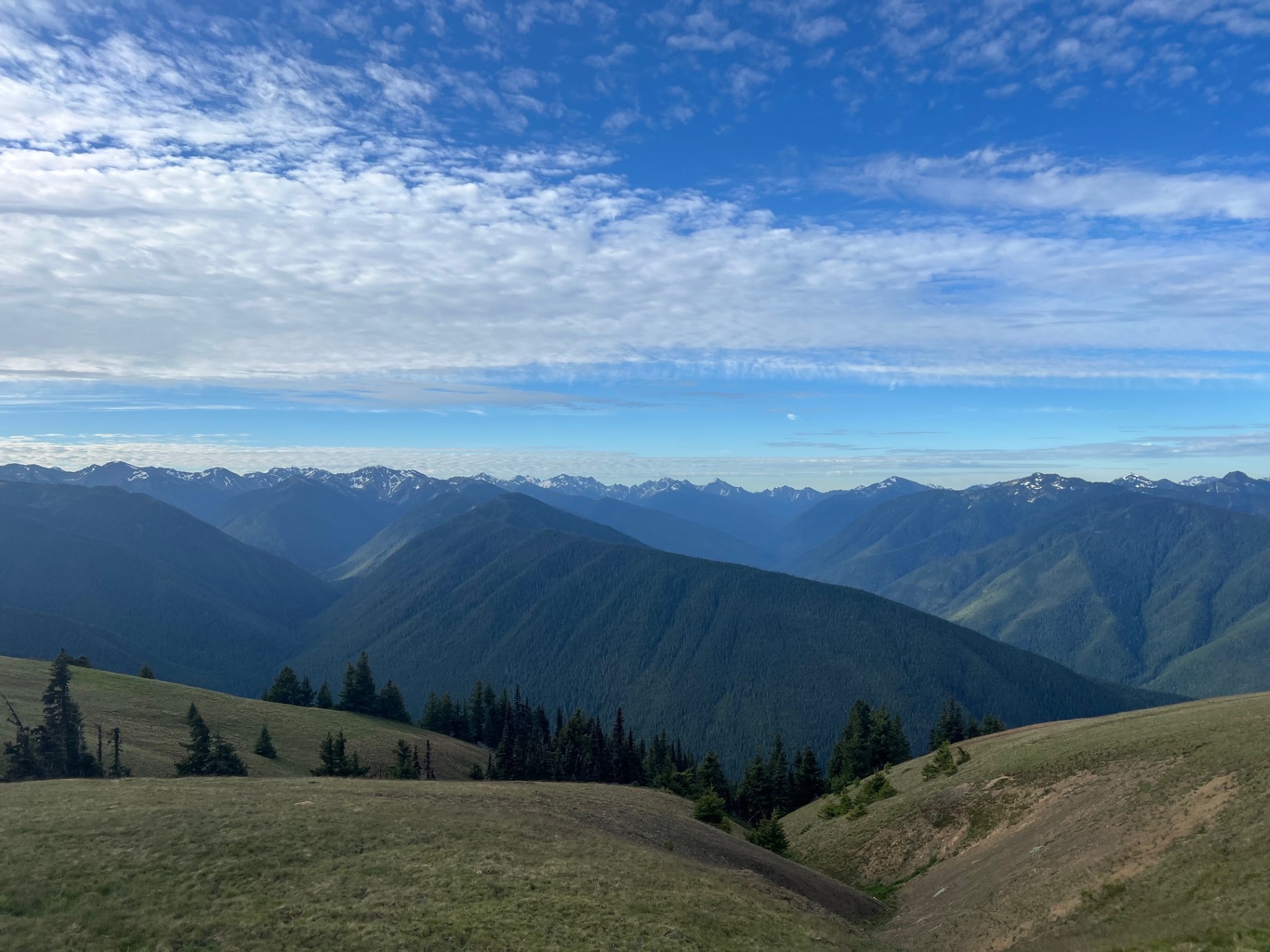 The Ultimate Olympic National Park Itinerary: Best Things to See and Do