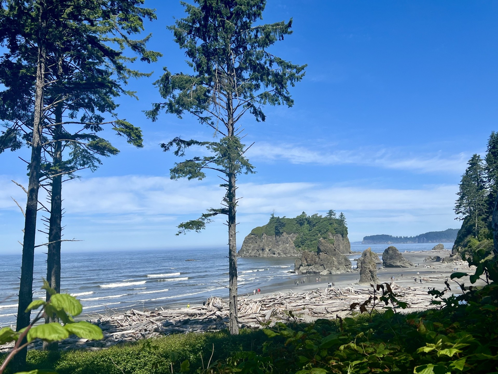 The Ultimate Olympic National Park Itinerary: Best Things to See and Do