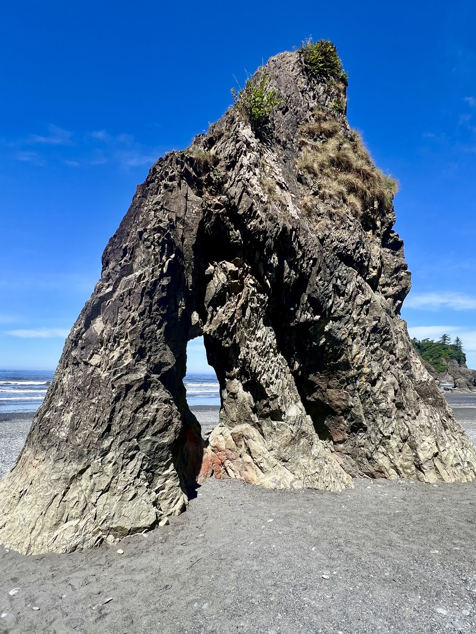 The Ultimate Olympic National Park Itinerary: Best Things to See and Do