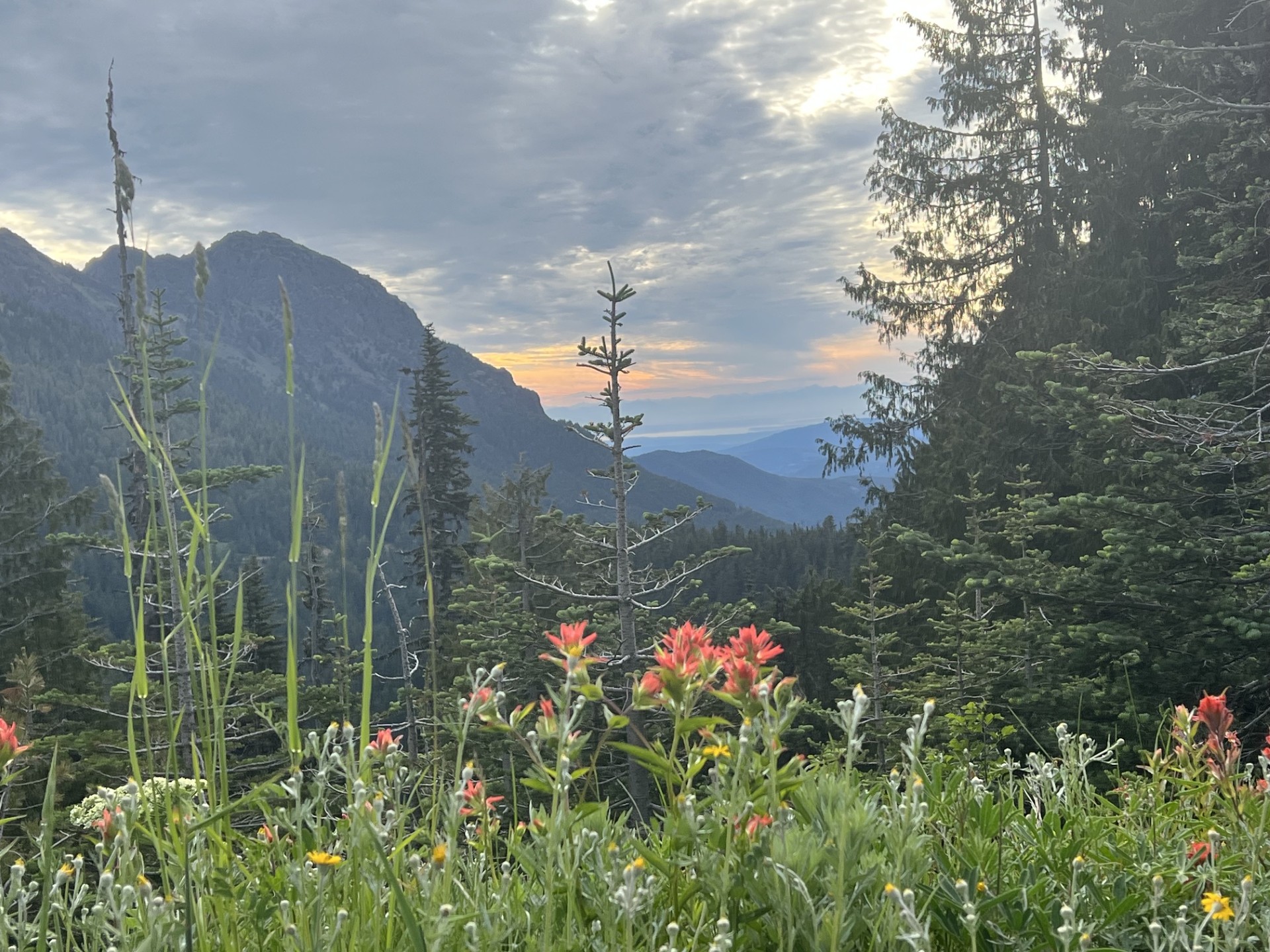 Hurricane Ridge