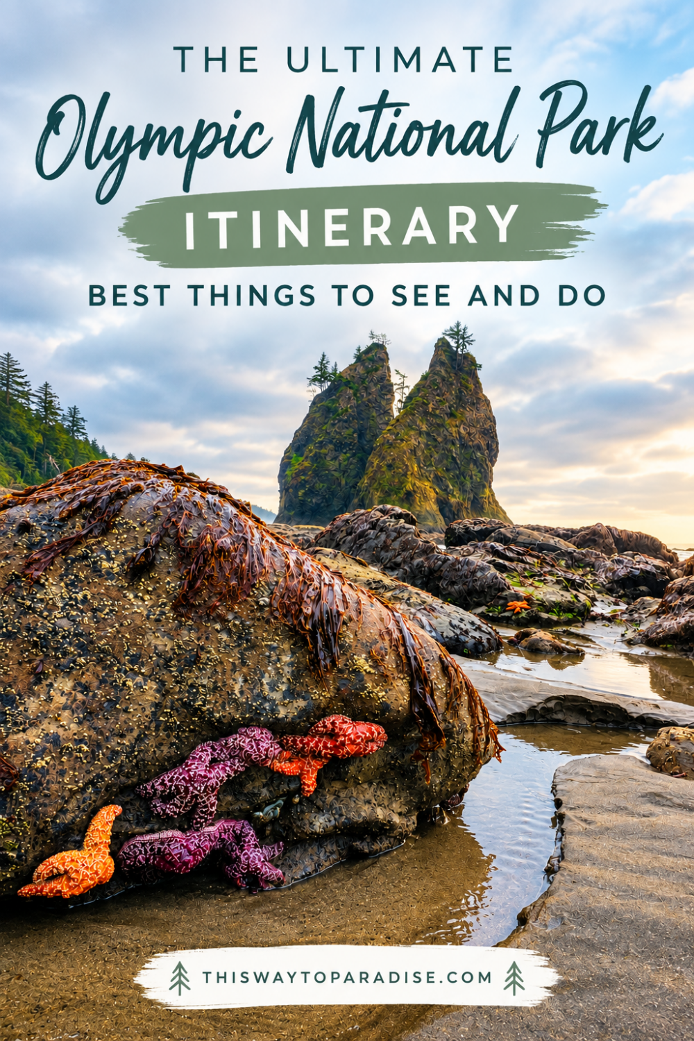The Ultimate Olympic National Park Itinerary: Best Things to See and Do