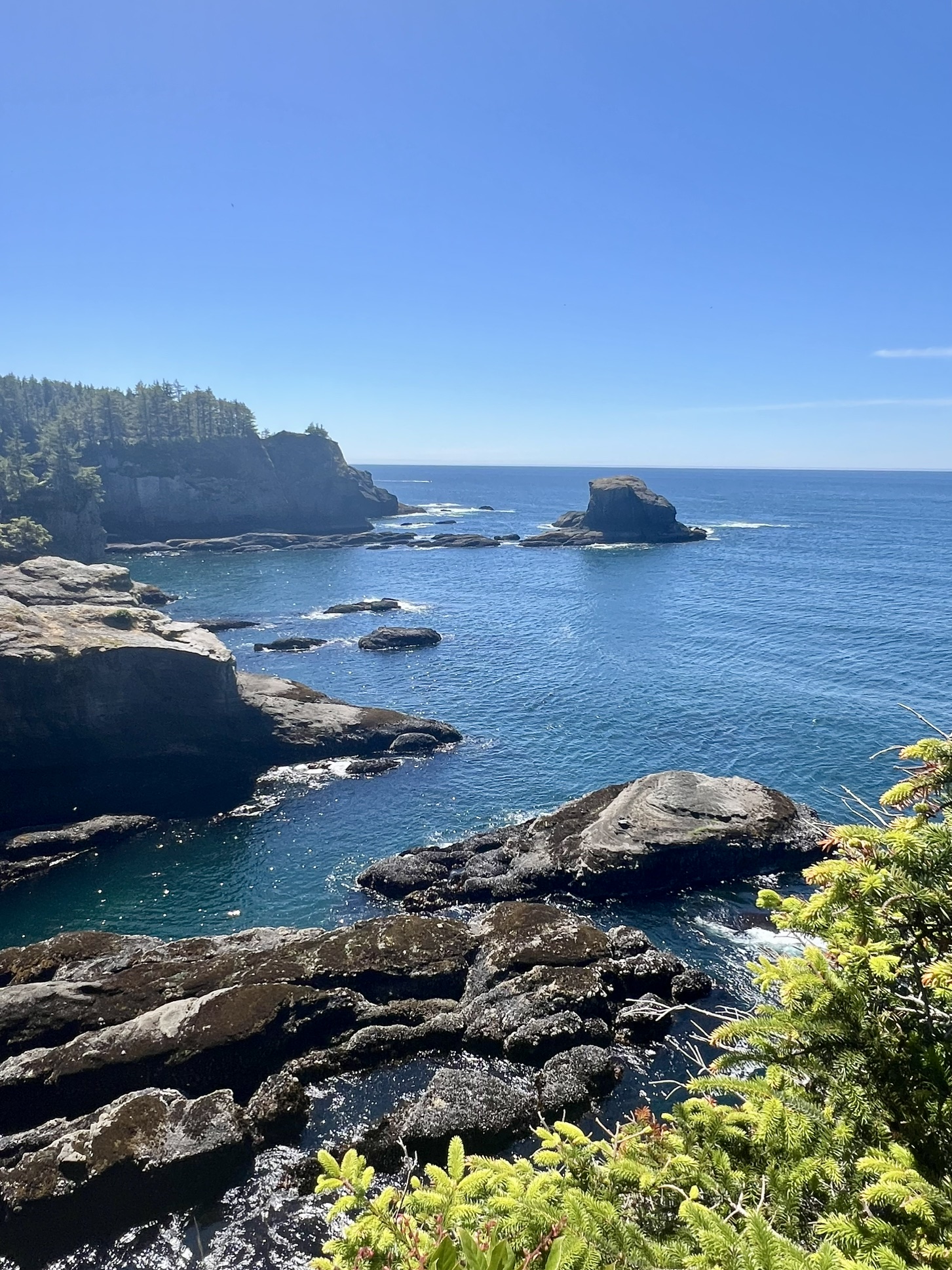 The Ultimate Olympic National Park Itinerary: Best Things to See and Do