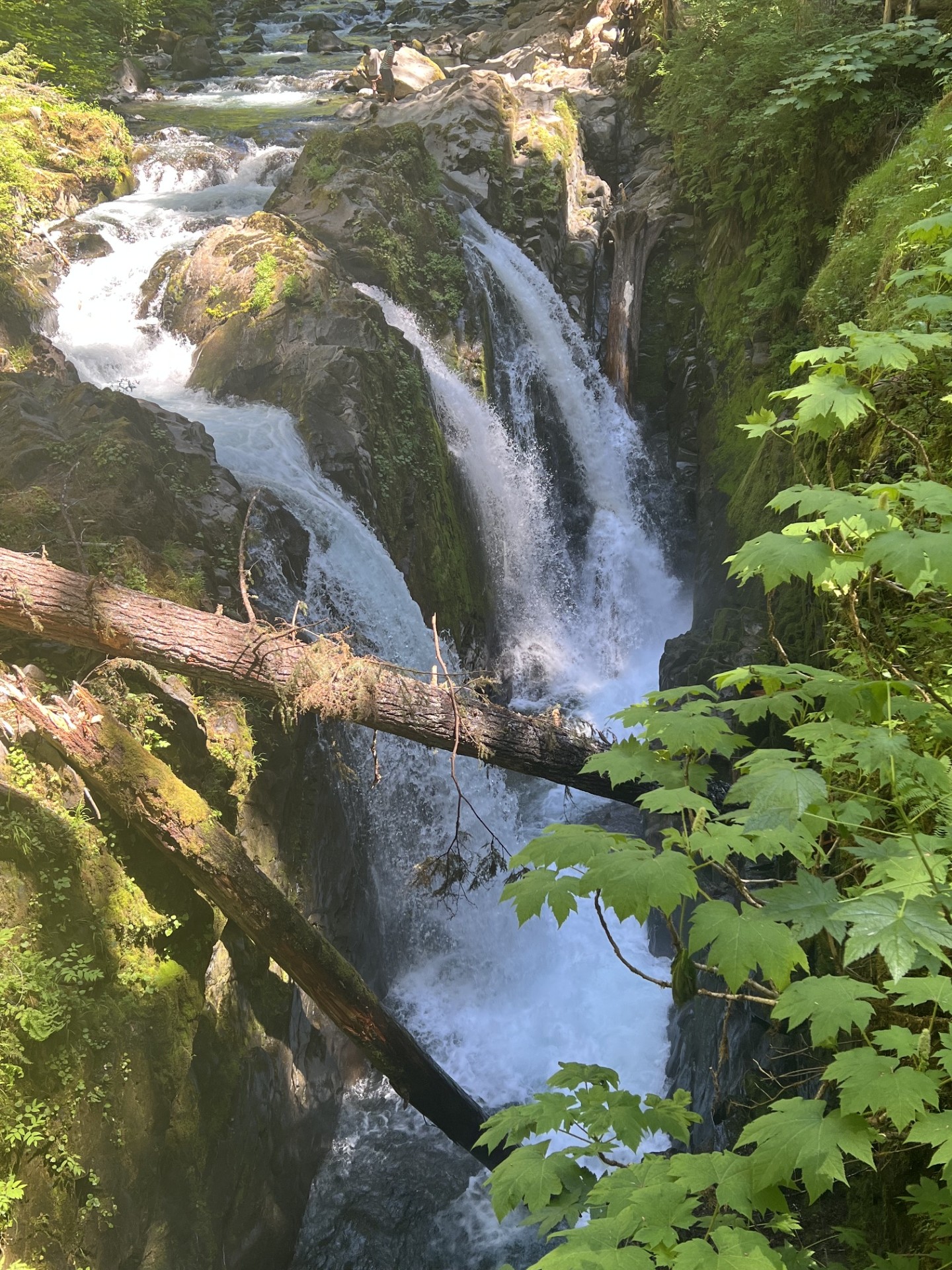 Sol duc Falls