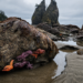 Rialto Beach and Hole-in-the-Wall