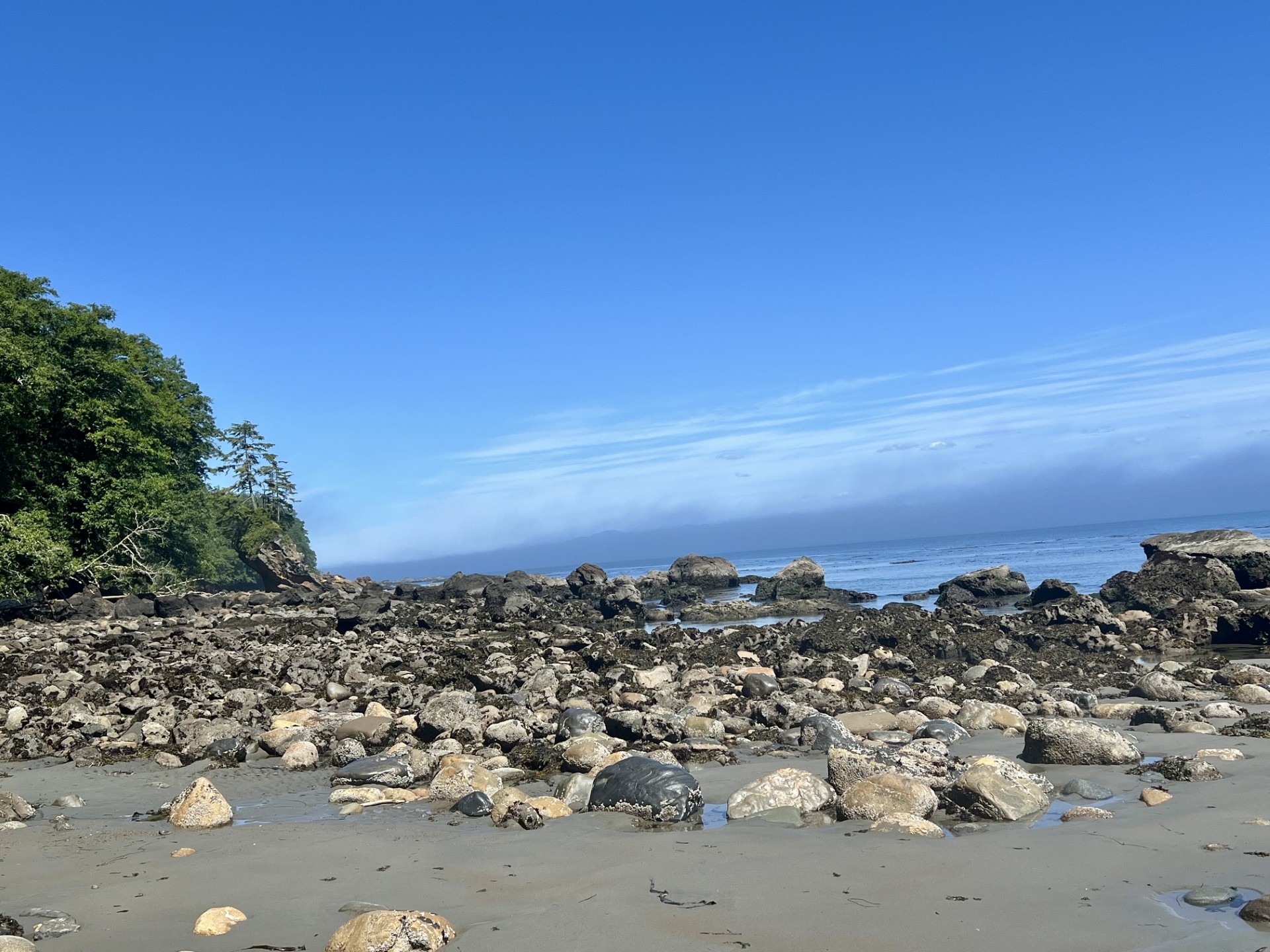The Ultimate Olympic National Park Itinerary: Best Things to See and Do
